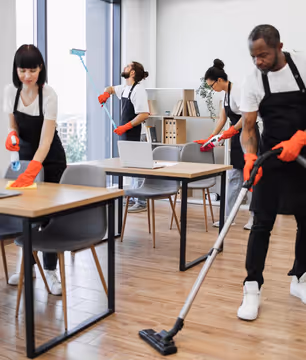 people cleaning